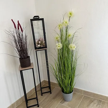 Manuela Casa de Férias *