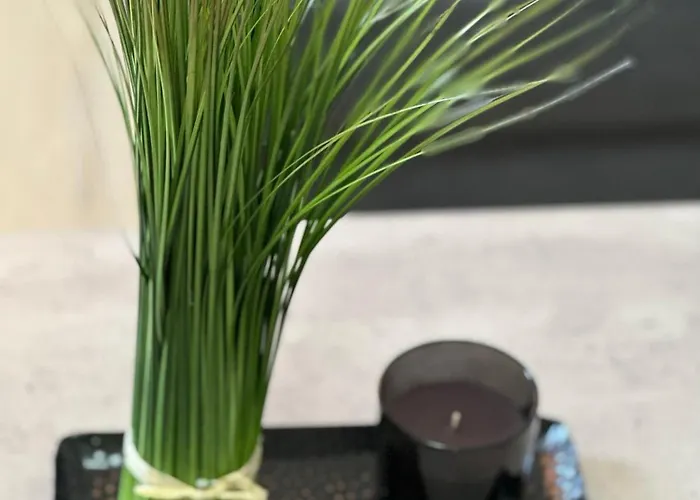 Casa de Férias Manuela