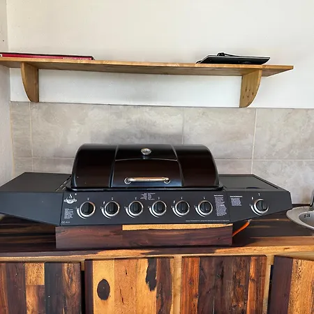 Manuela Vikendica Kras