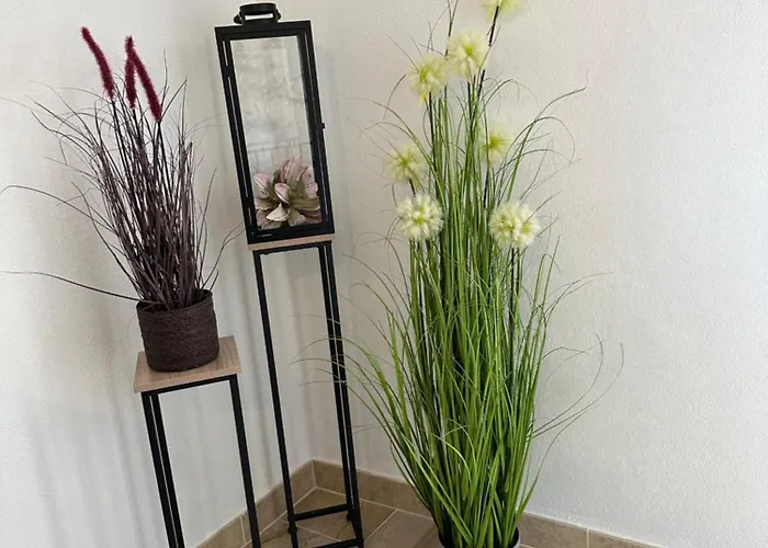 Manuela בית נופש *